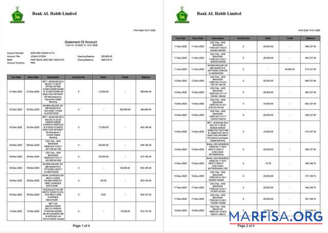Blank Pakistan Bank Al Habib statement of account word 4 pages, 1 2 pages example